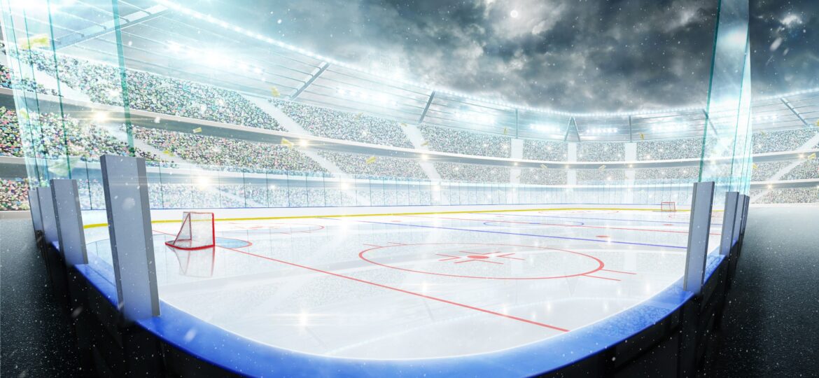Moline hockey spectator safety